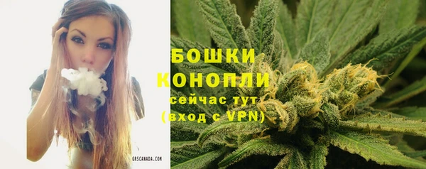 Альфа ПВП Надым