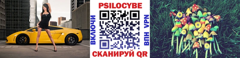Галлюциногенные грибы мицелий  Новосиль 